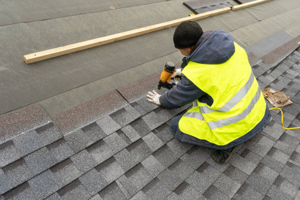 Best Solar Panel Roofing Installation  in Shenandoah, VA