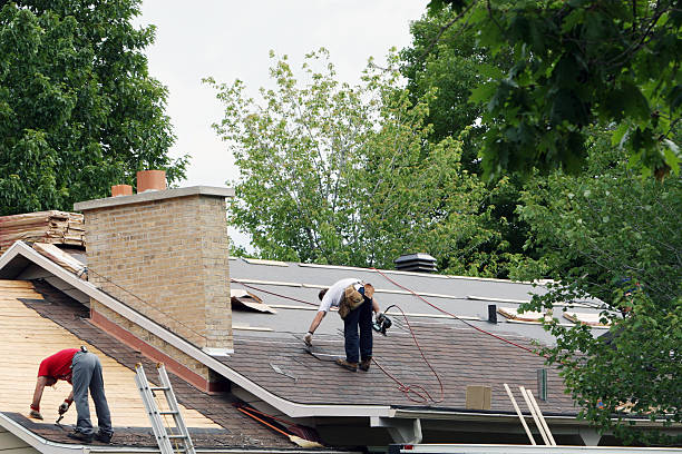 Best Roof Moss and Algae Removal  in Shenandoah, VA